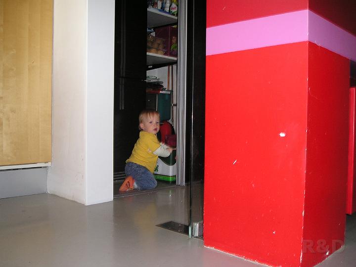Imme 28 augustus 2007 (4).JPG